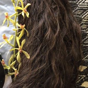 Pretty Party PrettyParty Roxy Ponytail Clip in Rich Dark Chocolate Brown!